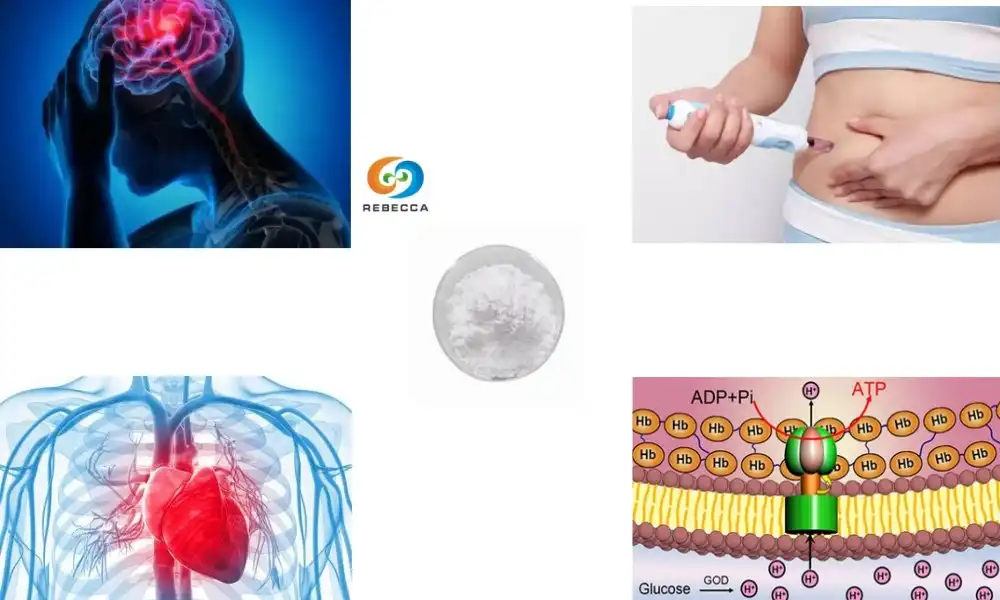 Boost Energy and Metabolism with Beta Nicotinamide Mononucleotide